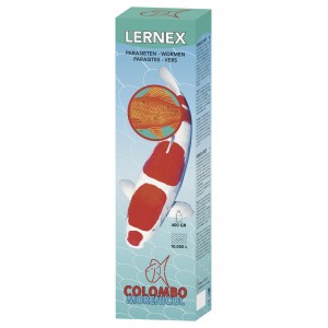 MORENICOL LERNEX 400 GR/10.000L