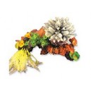 Mixed Corals - Large