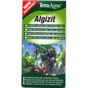 TETRA ALGIZIT