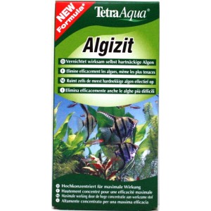 TETRA ALGIZIT